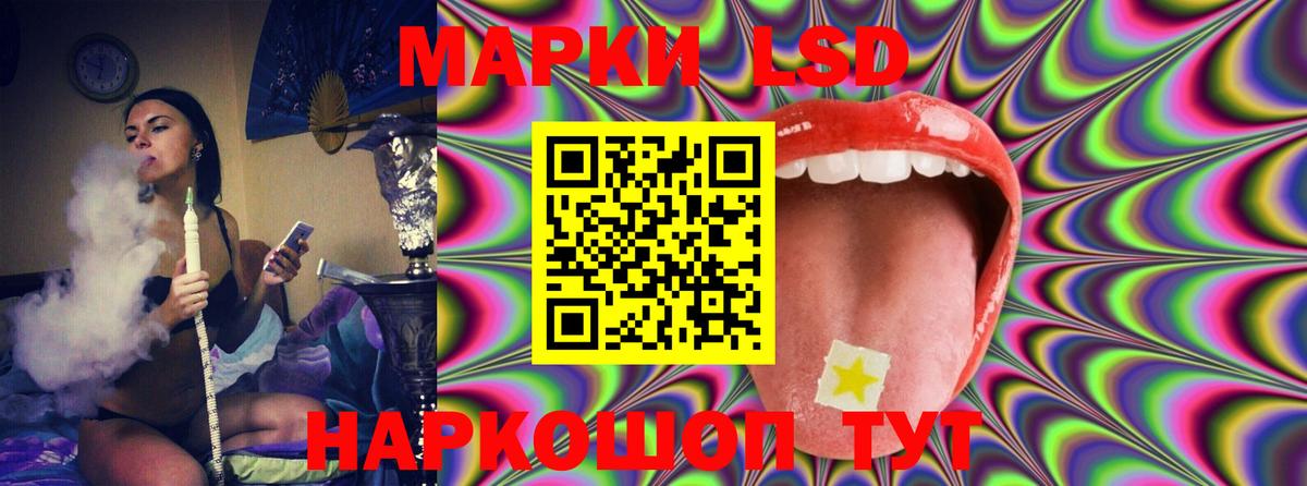 LSD-25 экстази кислота Кингисепп