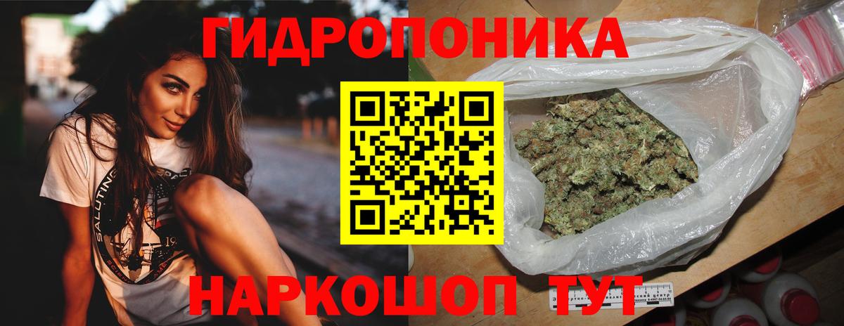 Конопля индика Кингисепп
